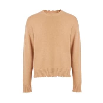 AllSaints Luxor Crew - CAMEL BROWN