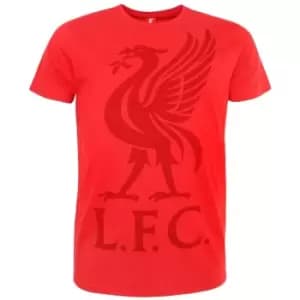 Liverpool FC Mens Liver Bird T-Shirt (M) (Red)