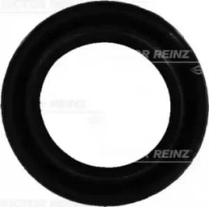 Seal Gasket 71-25876-00 by Victor Reinz