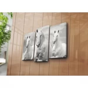 3PATK-66 Multicolor Decorative Canvas Painting (3 Pieces)