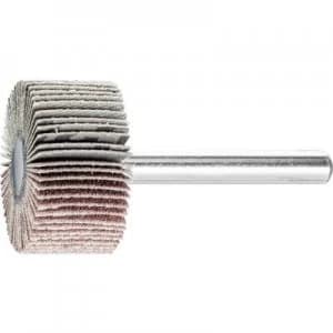 PFERD 44409126 HORSE fan-grinding shaft-o 6mm corundum A 120 Diameter 30 mm 10 pc(s)