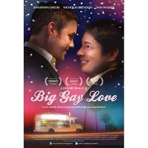 Big Gay Love DVD