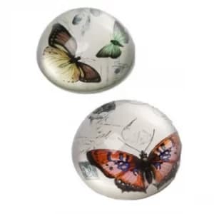 Vintage Glass Butterfly Paperweights (One Random Supplied) by Heaven Sends