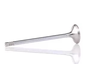 AUTOMEGA Exhaust Valve 130107410 OPEL,VAUXHALL,Corsa D Schragheck (S07),Corsa C Schragheck (X01),Meriva A (X03),Astra H Caravan (A04)