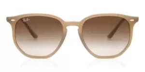Ray-Ban Sunglasses RB4306 616613