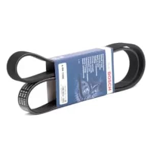 Bosch V-ribbed belt 1 987 948 343 Serpentine belt,Auxiliary belt FORD,FIAT,MAZDA,Focus II Schragheck (DA_, HCP, DP),Focus II Kombi (DA_, FFS, DS)