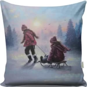 A13080 Multicolor Cushion