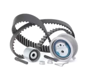 INA Timing belt kit VW,AUDI,FORD 530 0201 10 038109119L,038109119N,038109119P 038109119S,038109243F,038109243M,038109244J,038109244N,038198119A