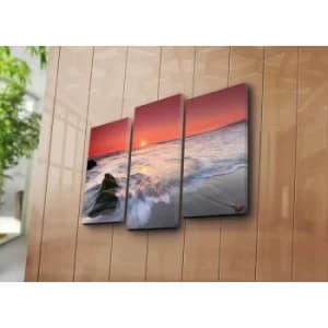 3NATPAT-41 Multicolor Decorative Canvas Painting (3 Pieces)