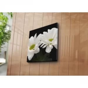 4545NAT-33 Multicolor Decorative Canvas Painting