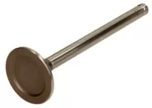 AMP Exhaust Valve POPE020-A-0-D OPEL,DAEWOO,VAUXHALL,Corsa C Schragheck (X01),Meriva A (X03),Astra G CC (T98),Astra G Caravan (T98),Astra F CC (T92)