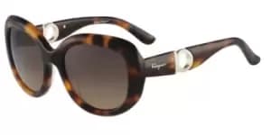 Salvatore Ferragamo Sunglasses SF 727S 214