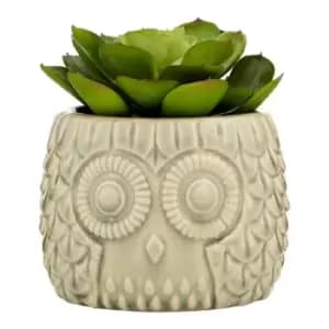 Premier Housewares Large Faux Succulent in Grey Ceramic Owl Pot