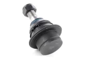 RIDEX Ball joint FORD 2462S0063 1417352,1451914,1743281 2004896,4041454,4120734,4173761,4381927,4386870,4616978,4630551,KT2T143468AA,KT6C113K209BA