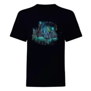 Harry Potter Mens Hogwarts Wireframe T-Shirt (XXL) (Black)