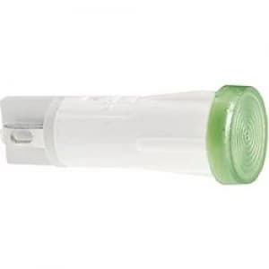 RAFI 1.69.525.2051300 Red