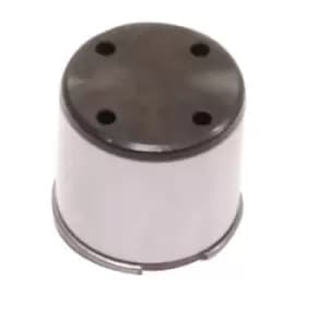 HITACHI Plunger, high pressure pump 2503059 VW,AUDI,SKODA,Golf V Schragheck (1K1),TOURAN (1T1, 1T2),Passat Variant (3C5),GOLF VI (5K1)