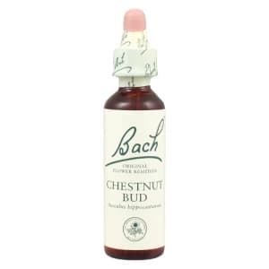 Bach Flower Remedy Chestnut Bud 20ml Drops