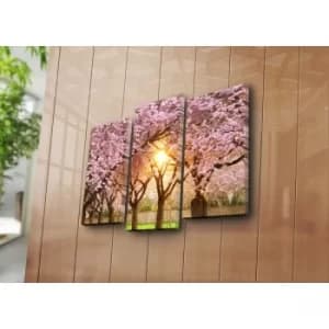 3KBPAT-39 Multicolor Decorative Canvas Painting (3 Pieces)