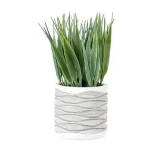 Gallery Interiors Set of 2 Grass in Wavy Pot / Medium