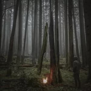 Beacon of Faith by Baptists Vinyl Album