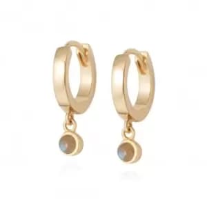 Labrodite Healing Huggie Hoops 18ct Gold Plate Earrings HE3007_GP