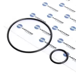 DR.MOTOR AUTOMOTIVE Gasket Set, intake manifold FIAT,PEUGEOT,CITROEN DRM116 455605,455606,455605 455606
