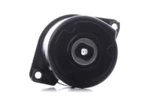 INA Tensioner Lever, v-ribbed belt BMW 534 0170 10 11287786880,7786880,11287786880 7786880