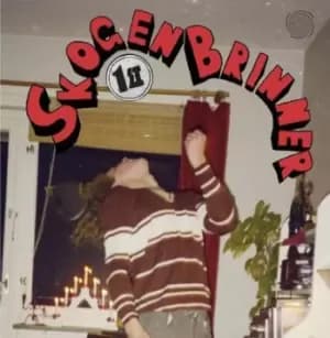 1st by Skogen Brinner Vinyl Album