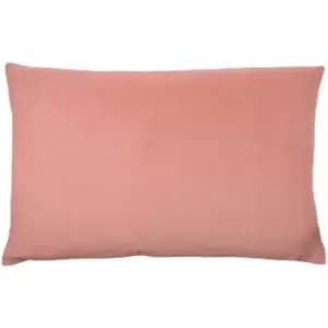 Furn Contra Soft Velvet Cushion Cover, Blush, 40 x 60 Cm