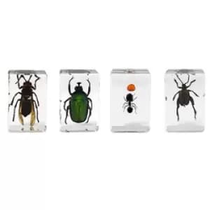 Celestron 3D Bug Specimen Kit #5
