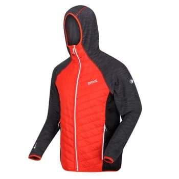 Regatta AndresonVI Hybrid Insulated Jacket - CajunOr/Rhin
