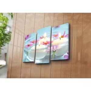 3PATK-21 Multicolor Decorative Canvas Painting (3 Pieces)