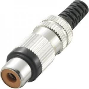 RCA connector Socket straight Number of pins 2 Green Conrad Components