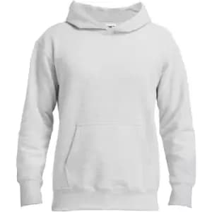 Gildan Adults Unisex Hammer Hooded Sweatshirt (M) (Ash)