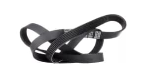 DAYCO V-ribbed belt 6PK1538 Serpentine belt,Auxiliary belt VW,BMW,FORD,Golf IV Schragheck (1J1),Golf IV Variant (1J5),Bora Limousine (1J2)