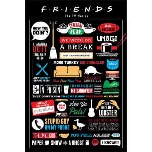 Friends - Infographic Maxi Poster