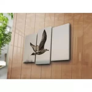 3NATPAT-43 Multicolor Decorative Canvas Painting (3 Pieces)