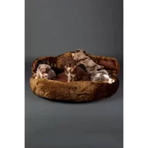 Scruffs Cub Bear Dog Bed