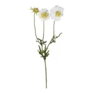 Gallery Interiors Set of 6 Mari Scabiosa Spray White