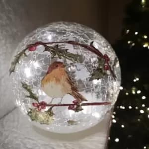 Samuel Alexander - 20cm Festive Christmas Crackle Effect Glass Robin LED Light Ball