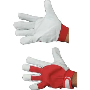 Tuffsafe - Goatskin Nappa Gloves Size 7