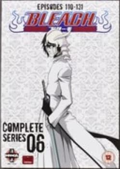 Bleach - Series 6