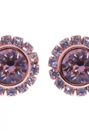 Ted Baker Ladies PVD rose plating Sully Crystal Chain Stud Earring TBJ854-24-16