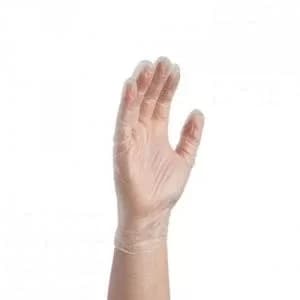 Clr Glove Pwdr Free Lrg PK100