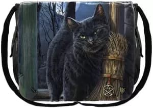 A Brush With Magick Messenger Bag
