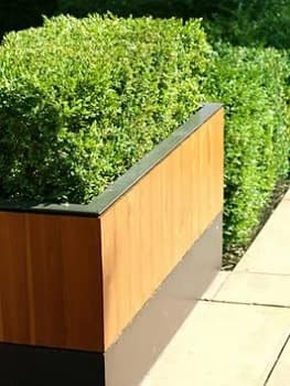 Box (Buxus) Hedging Pack - 10 Plants In 9Cm Pots