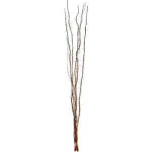 80 Interwoven Lights Natural Twigs - Premier Housewares