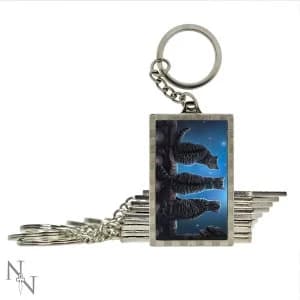 Wish Upon a Star Pack of 10 3D Keyring