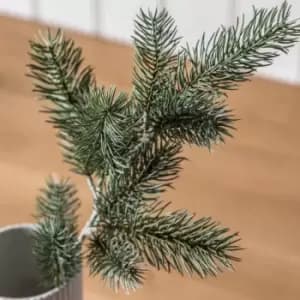 Crossland Grove Pine Spray (3Pk) Green 500Mm